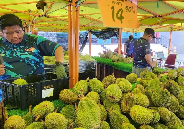 Đua với sầu riêng Việt Nam, Thái Lan, một đối thủ tính mở tuyến đường đặc biệt đi qua 4 nước, đưa sầu riêng tươi sang thị trường tỷ dân Trung Quốc - Ảnh 1.