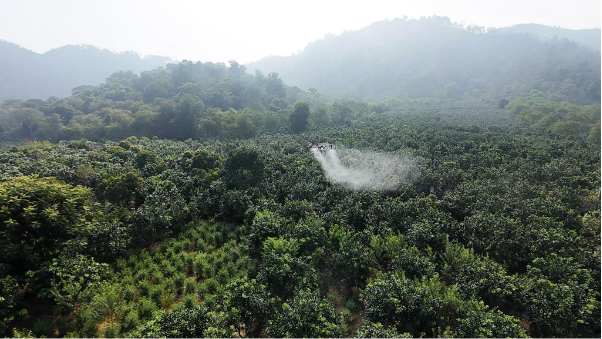 FPT Retail sắp triển khai hàng loạt UAV tại một tỉnh Tây Bắc, thực hiện nhiệm vụ quan trọng ảnh 1