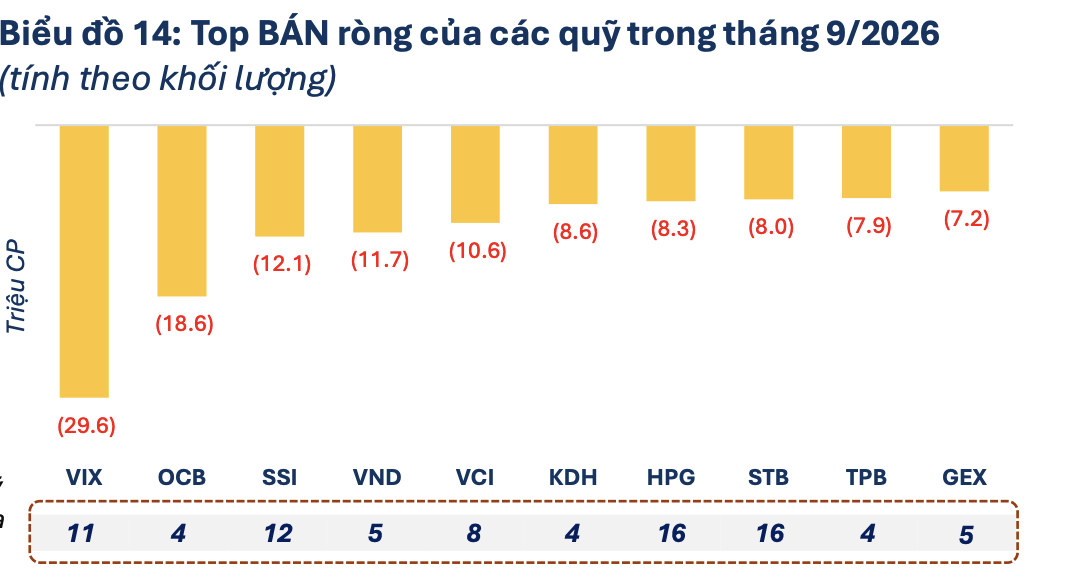 Một cổ phiếu đình đám bị 16 quỹ đồng loạt “xả hàng” - Ảnh 1.