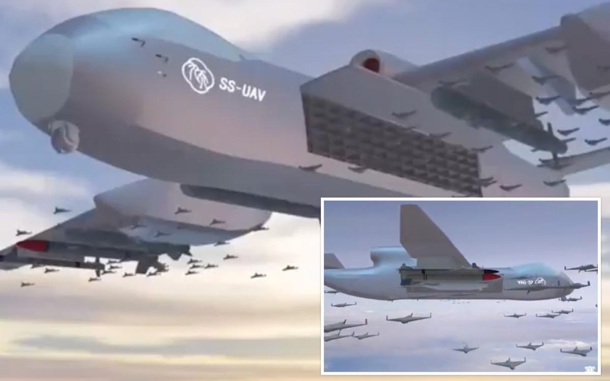 Phát hiện chiếc máy bay Boeing kỳ lạ, cõng trên lưng chiếc đĩa khổng lồ: Giá tới nửa tỷ USD ảnh 2 Phát hiện chiếc máy bay Boeing kỳ lạ, cõng trên lưng chiếc đĩa khổng lồ: Giá tới nửa tỷ USD - Ảnh 2.