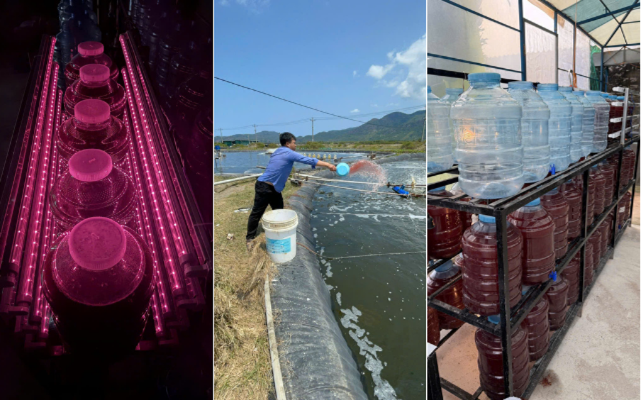 Từ bỏ vị trí quản lý tại Mỹ, chàng trai Việt Kiều 9X về nước dốc tâm sức khởi nghiệp công nghệ vi sinh phục vụ nông dân Việt Nam trong ngành xuất khẩu 4,6 tỷ USD - Ảnh 2.