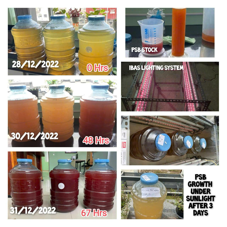 Từ bỏ vị trí quản lý tại Mỹ, chàng trai Việt Kiều 9X về nước dốc tâm sức khởi nghiệp công nghệ vi sinh phục vụ nông dân Việt Nam trong ngành xuất khẩu 4,6 tỷ USD - Ảnh 3.
