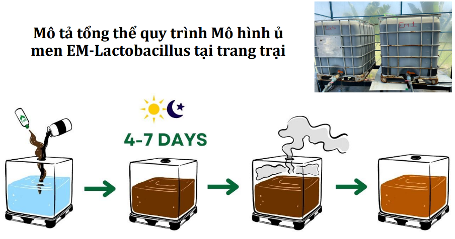 Từ bỏ vị trí quản lý tại Mỹ, chàng trai Việt Kiều 9X về nước dốc tâm sức khởi nghiệp công nghệ vi sinh phục vụ nông dân Việt Nam trong ngành xuất khẩu 4,6 tỷ USD - Ảnh 4.