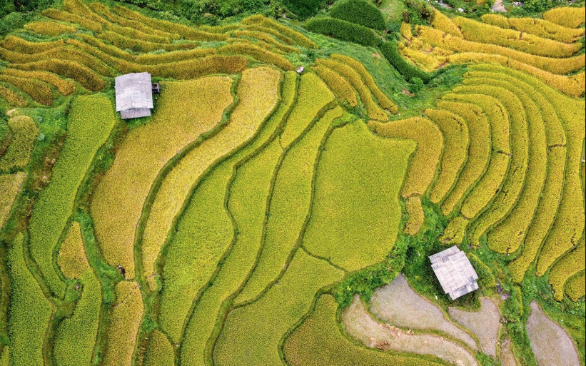 Việt Nam có “vịnh” 300 ha nằm giữa núi: Không thông ra biển, chỉ xuất hiện 4 tháng trong năm ảnh 4 Việt Nam có “vịnh” 300 ha nằm giữa núi: Không thông ra biển, chỉ xuất hiện 4 tháng trong năm - Ảnh 4.