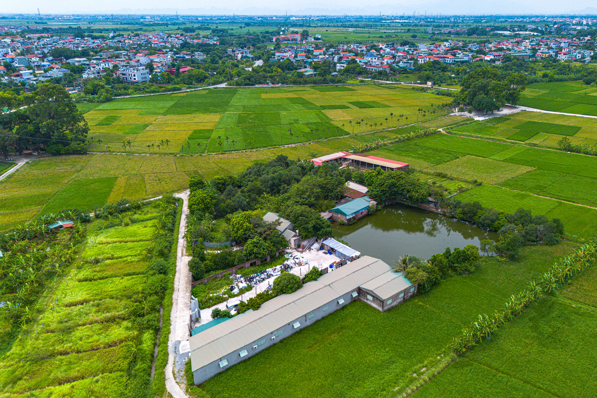 Toàn cảnh khu đô thị hơn 111.000 tỷ đồng do Vinhomes làm chủ đầu tư, quy mô rộng hơn 600ha, sẽ là nơi ở của hơn 105.000 người - Ảnh 10.