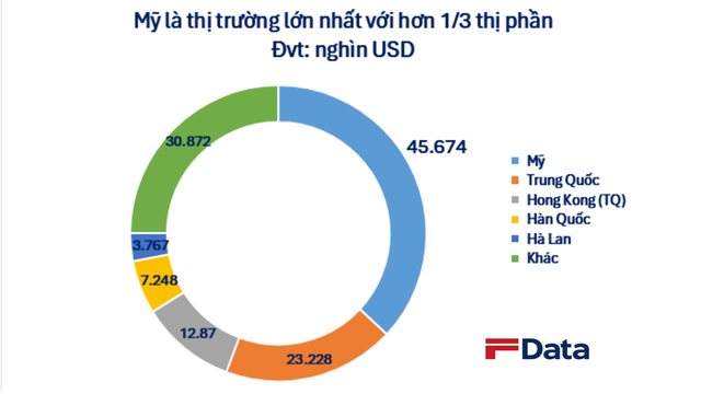 Bất ngờ một 'mỏ vàng' của Việt Nam được Mỹ săn đón trong 9 tháng: Nhiều cường quốc công nghệ là khách ruột, xuất sang Malaysia tăng 170%- Ảnh 3.