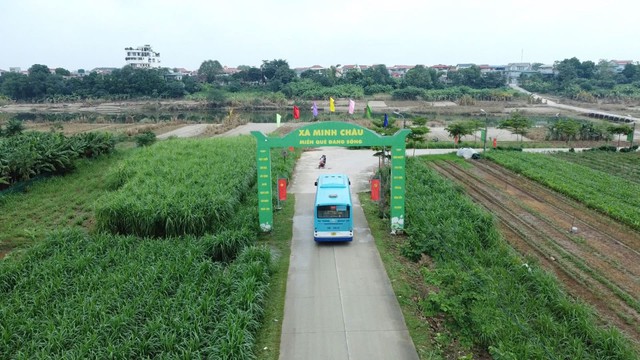  - Ảnh 5.