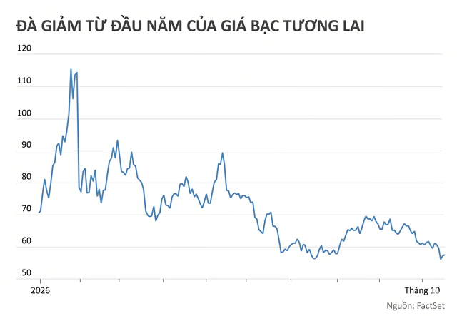 Một kim loại 'bay' nửa giá trị từ đầu năm, chuyện gì đang xảy ra? ảnh 2
