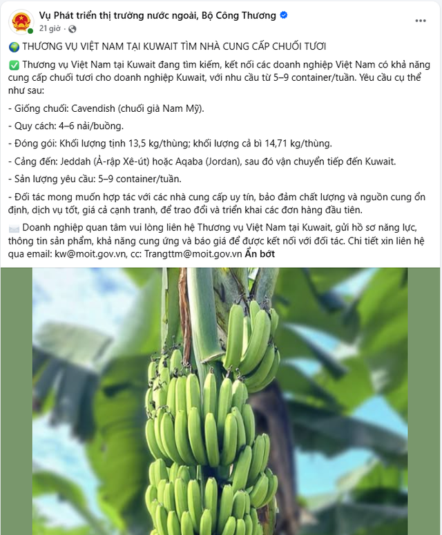  - Ảnh 1.