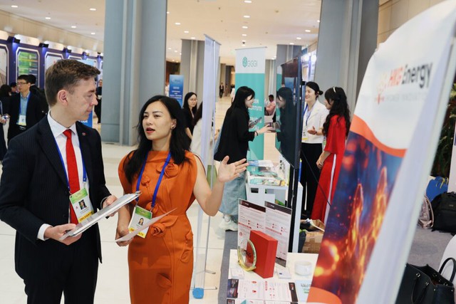 Từng quản lý 2 tỷ USD tại VinFast, nữ doanh nhân Việt sang Mỹ làm pin sạc siêu nhanh, được Harvard lựa chọn ảnh 1