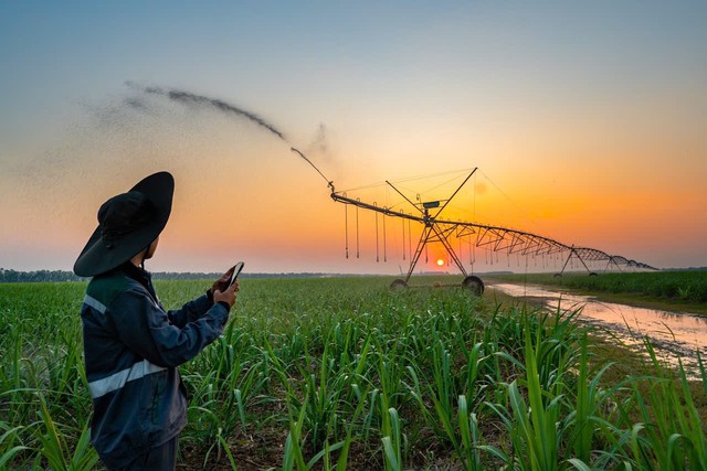 AgriS gia tăng đóng góp nguồn lực cho tăng trưởng quốc gia - Ảnh 2.