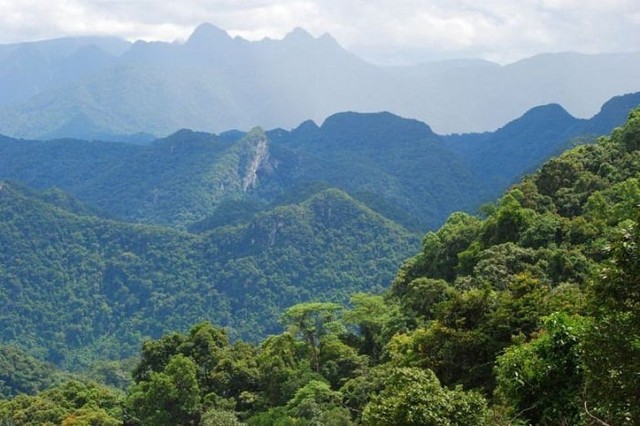 Việt Nam sắp xây "Bà Nà Hills thứ 2", đầu tư 16.000 tỷ đồng: Sẽ có 5 tuyến cáp treo lên đỉnh núi cao hơn 1.000m, dưới chân là hồ sinh thái 290 ha, đã chốt thời gian khởi công ảnh 1