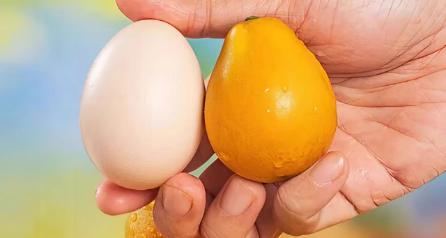 Đắt gấp 5 lần sầu riêng, láng giềng Việt Nam sở hữu một loại quả được mệnh danh ‘Hermès trái cây’: Giá hơn 750.000 đồng/kg, trồng ít nhất 2 năm mới được thu hoạch - Ảnh 1.