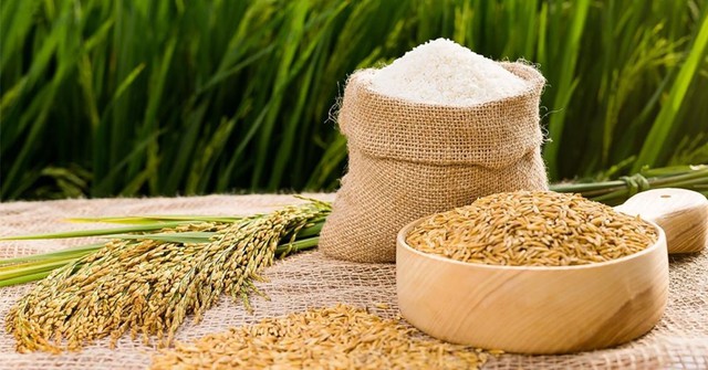 'Hạt ngọc trời' của Việt Nam được Trung Quốc 'săn đón': Xuất khẩu hơn 500 triệu USD sau 8 tháng - Ảnh 2.