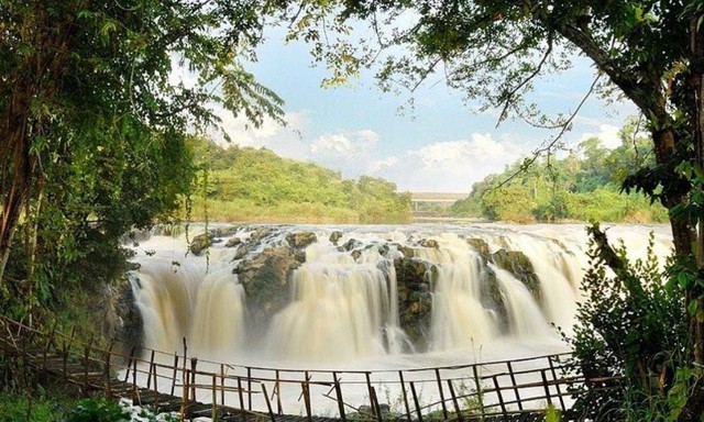 Tài sản 112 ha của ông Đặng Lê Nguyên Vũ ảnh 1