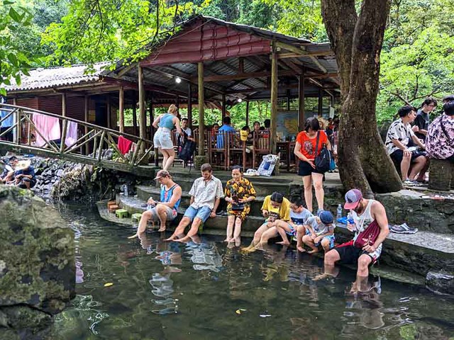 Việt Nam có ngôi làng 89 hộ dân, 297 người cùng sinh sống, được giao nhiệm vụ đặc biệt: Sở hữu đặc điểm rừng - làng - biển hiếm có, nằm trong không gian được UNESCO công nhận cách đây 22 năm ảnh 5