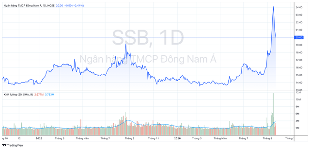 Một Phó Tổng Giám đốc ngân hàng nhầm lệnh mua bán cổ phiếu- Ảnh 1.